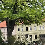 Ostblick شقة